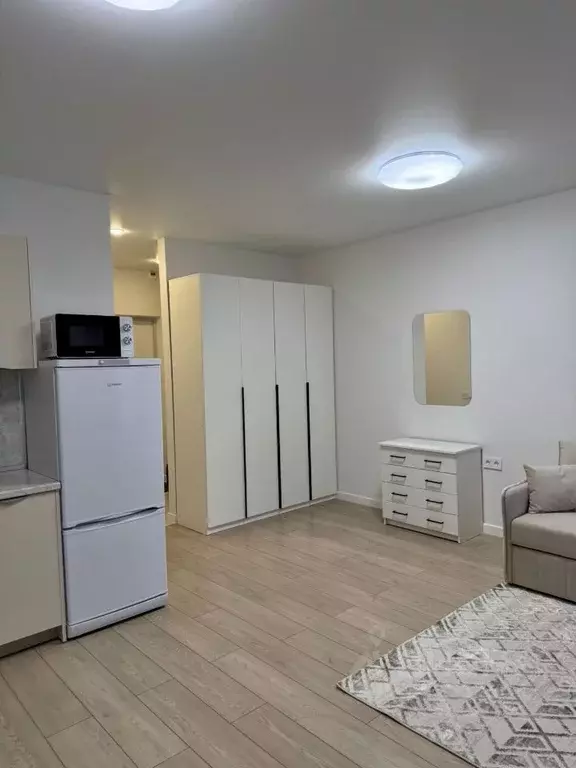 Студия Санкт-Петербург ул. Шкапина, 15 (30.4 м) - Фото 1