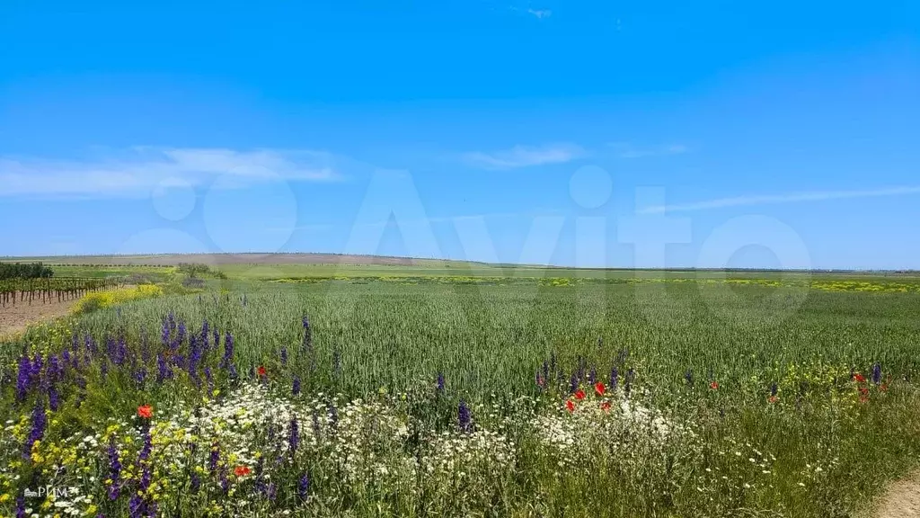 Участок 18 га (ИЖС) - Фото 0