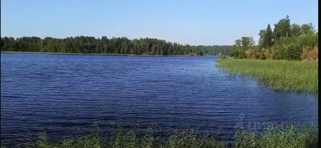 Участок в Карелия, Лахденпохский муниципальный округ, пос. Асилан  ... - Фото 1