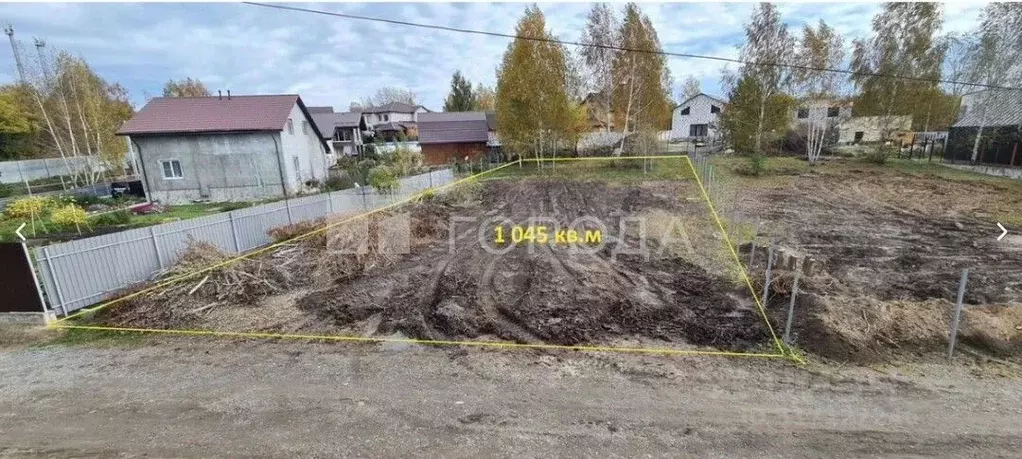 Участок в Новосибирская область, Новосибирский район, Новолуговской ... - Фото 0