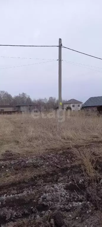 Участок в Кемеровская область, Кемеровский район, с. Андреевка ... - Фото 0