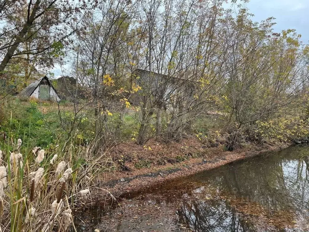 Дом в Белгородская область, Губкин Логовая ул., 144 (146 м) - Фото 1
