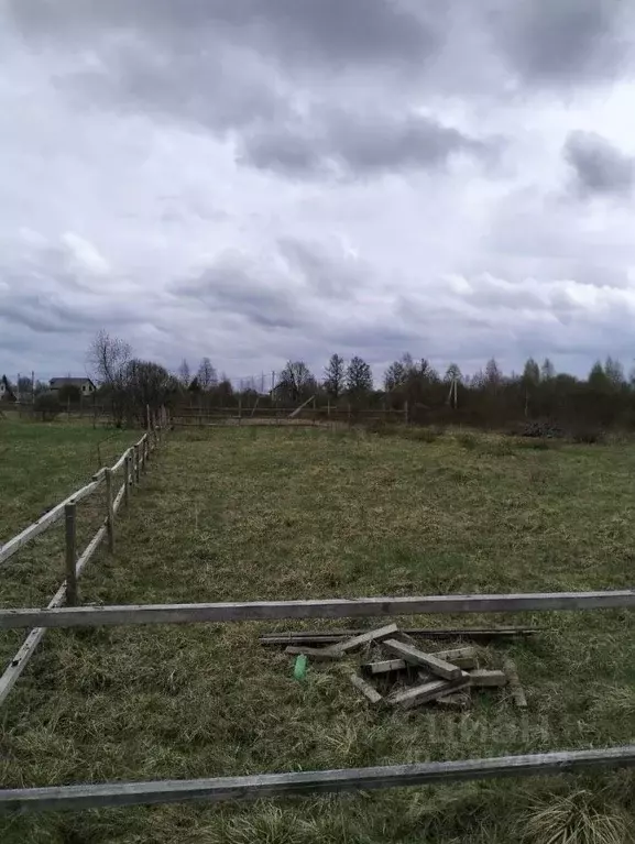 Участок в Новгородская область, Крестцы рп ул. Тенистая (10.0 сот.) - Фото 1