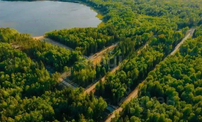 Участок в Ленинградская область, Всеволожский район, Токсовское ... - Фото 1