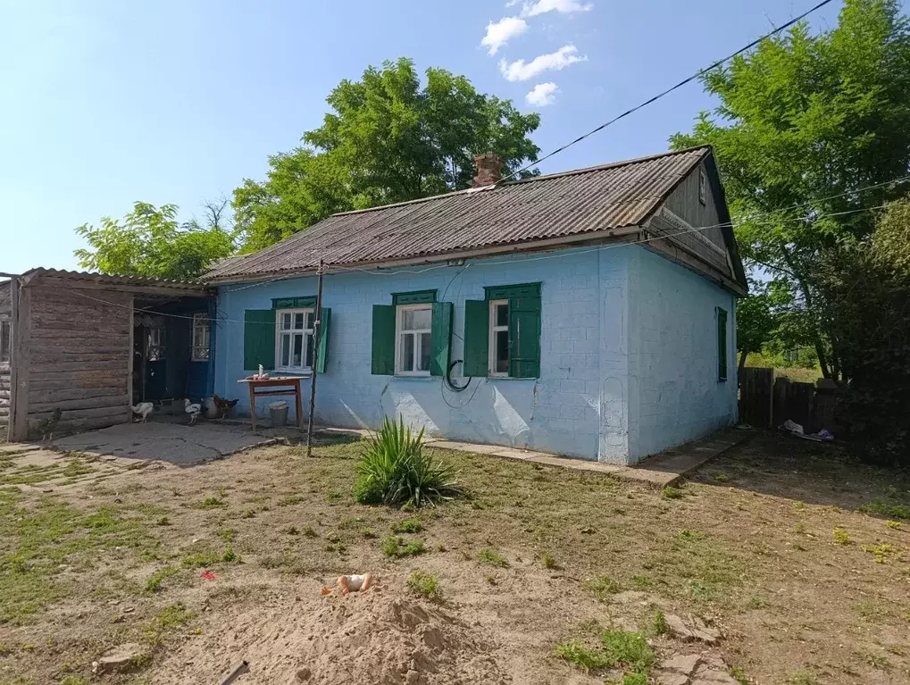 Дом в Ростовская область, Азовский район, с. Александровка  (70 м) - Фото 1