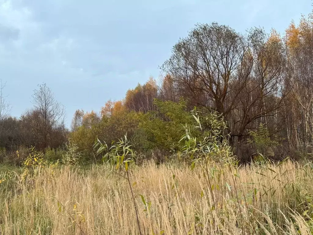 Участок в Московская область, Ногинск Богородский городской округ, ... - Фото 2