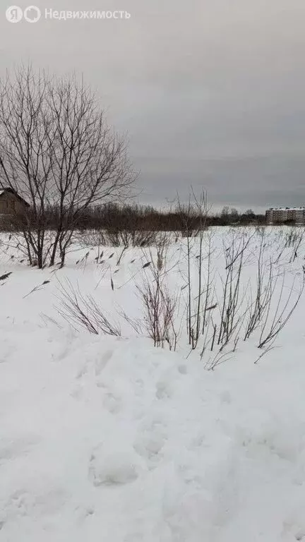 Участок в Ярославский муниципальный округ, деревня Бекренево ... - Фото 2