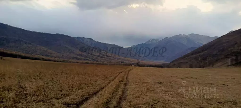 Участок в Алтай, Усть-Канский район, с. Владимировка  (8500.0 сот.) - Фото 0