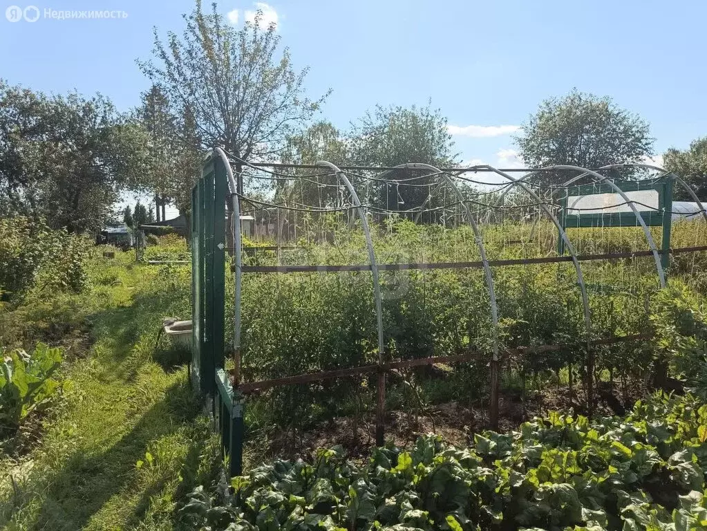 Участок в Новоусадебское сельское поселение, садоводческое ... - Фото 2