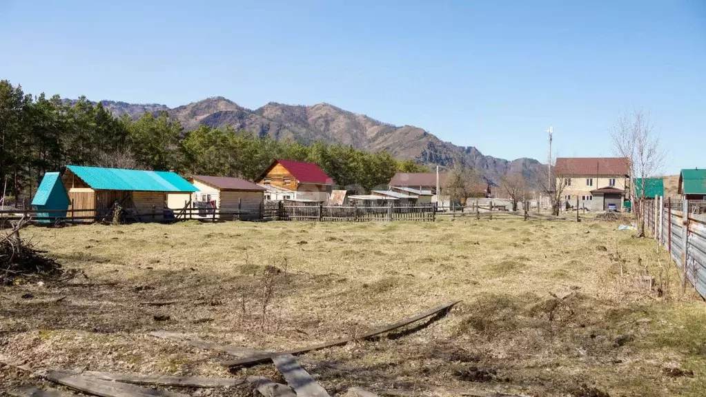 Участок в Алтай, Чемальский район, с. Чемал ул. Сиреневая, 8 (12.0 ... - Фото 1