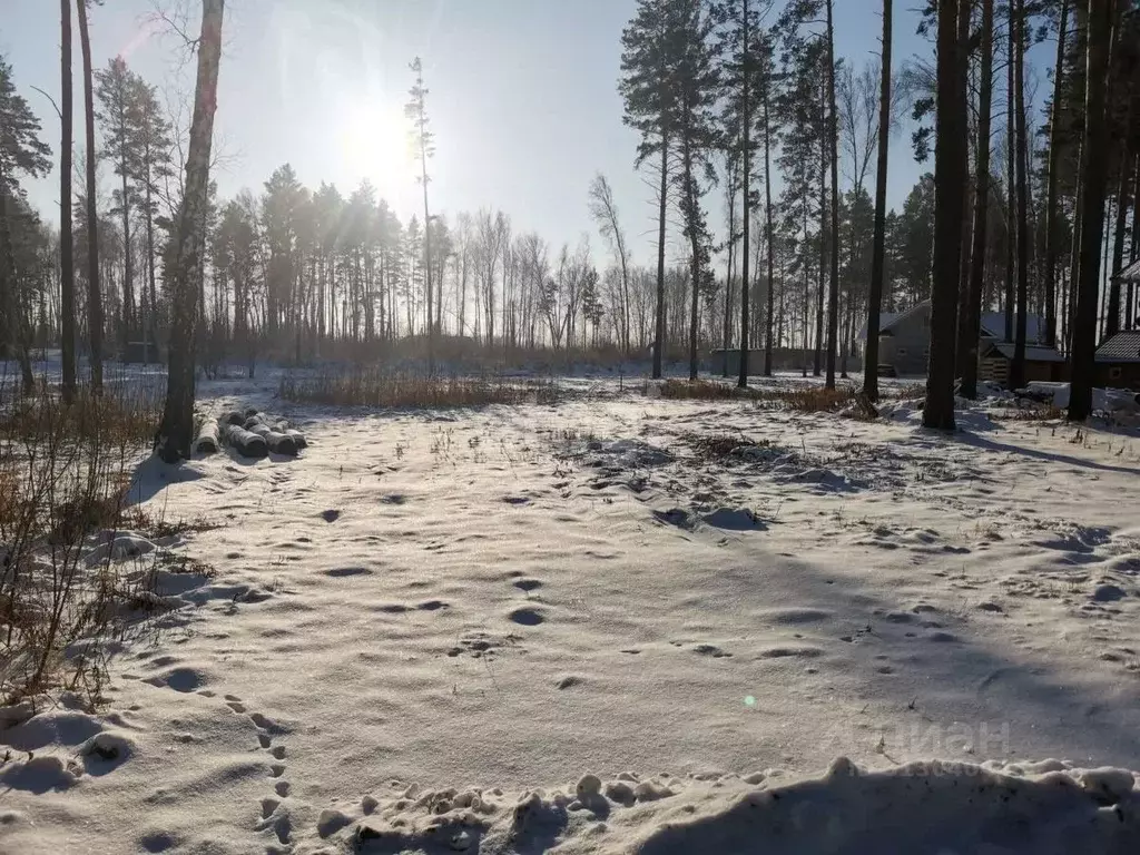 Участок в Новосибирская область, Новосибирский район, Кубовинский ... - Фото 0