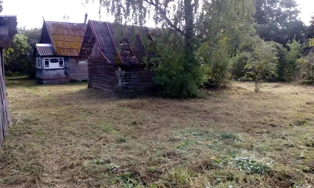 Дом в Псковская область, Пушкиногорский район, Велейская волость, д. ... - Фото 0