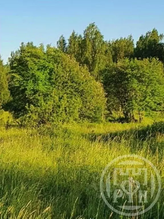 Участок в Ленинградская область, Приозерский район, Запорожское с/пос, ... - Фото 2
