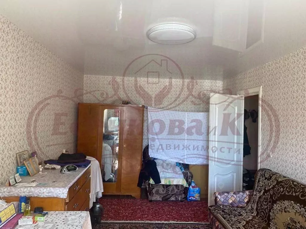 1-к кв. Курганская область, Курган ул. Анфиногенова, 5 (31.1 м) - Фото 0