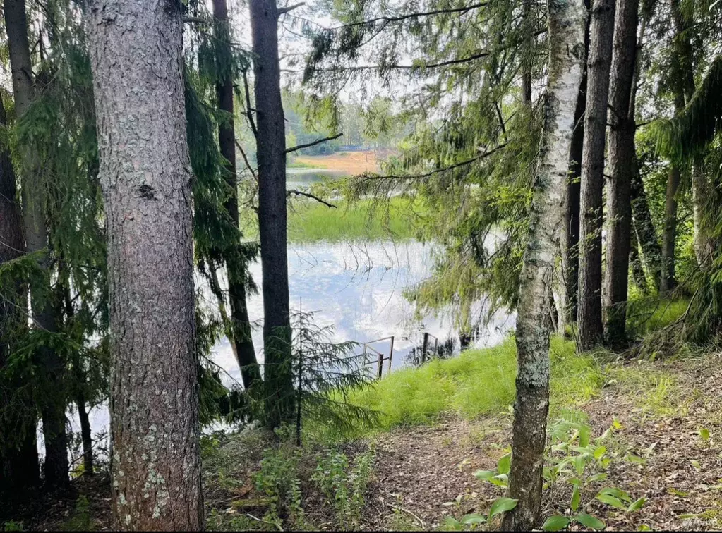 Участок в Ленинградская область, Гатчинский район, Вырица городской ... - Фото 0