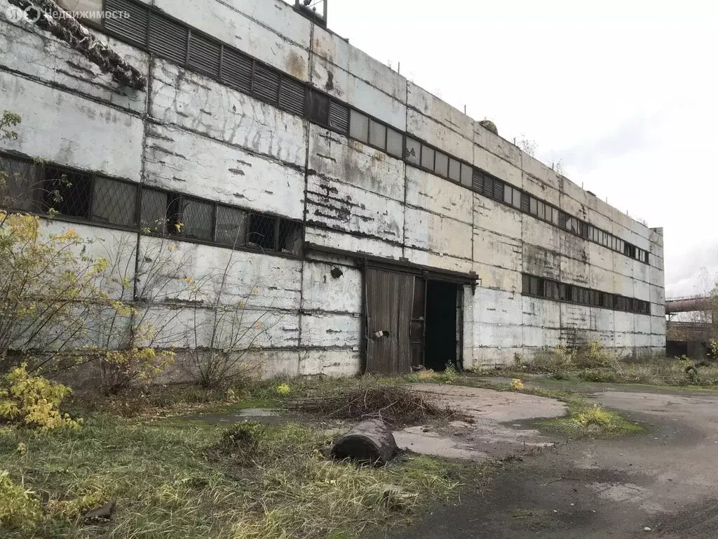 Помещение свободного назначения (3919 м) - Фото 1