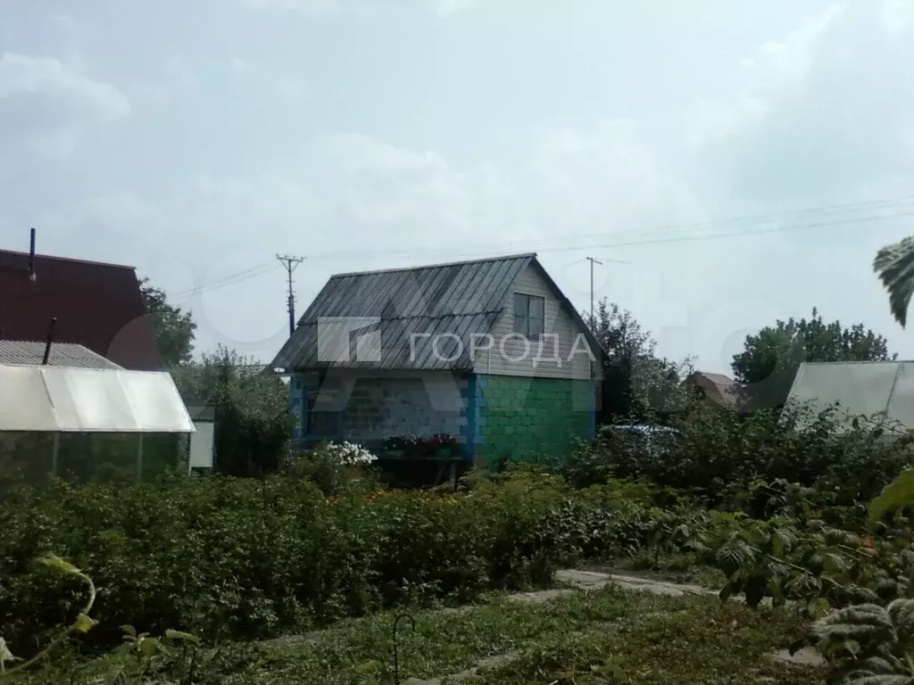 Участок 6 сот. (СНТ, ДНП) - Фото 1