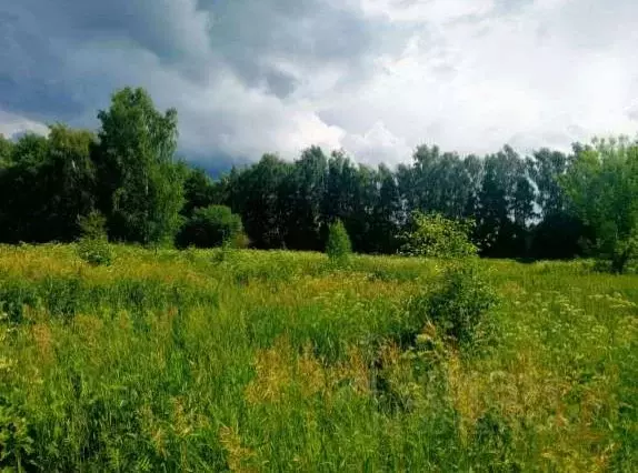 Участок в Московская область, Коломна городской округ, с. Андреевское  ... - Фото 1