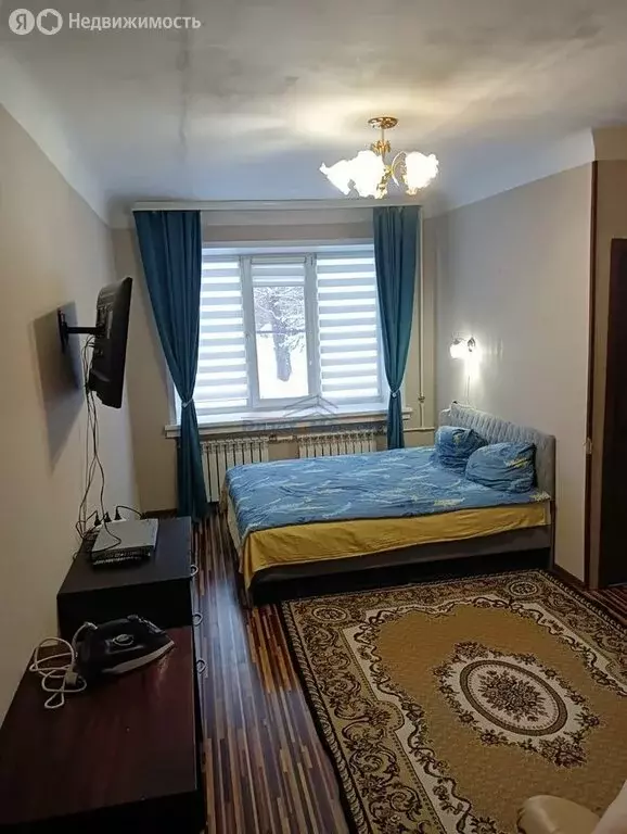 1-комнатная квартира: Новосибирск, улица Блюхера, 24 (29.3 м) - Фото 1