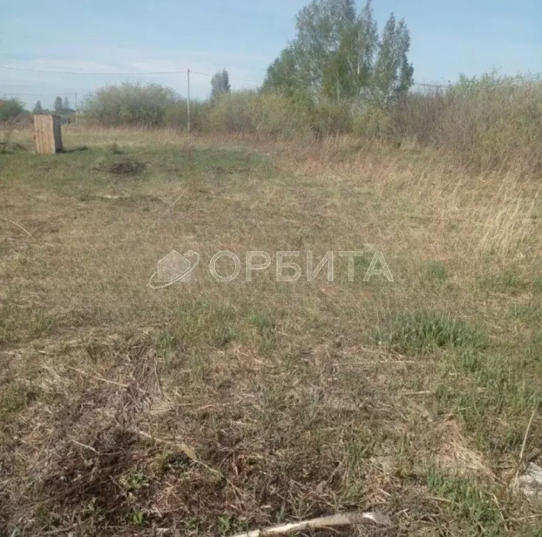 Участок в Тюменская область, Тюмень Поле Чудес-2 садовое товарищество, ... - Фото 1