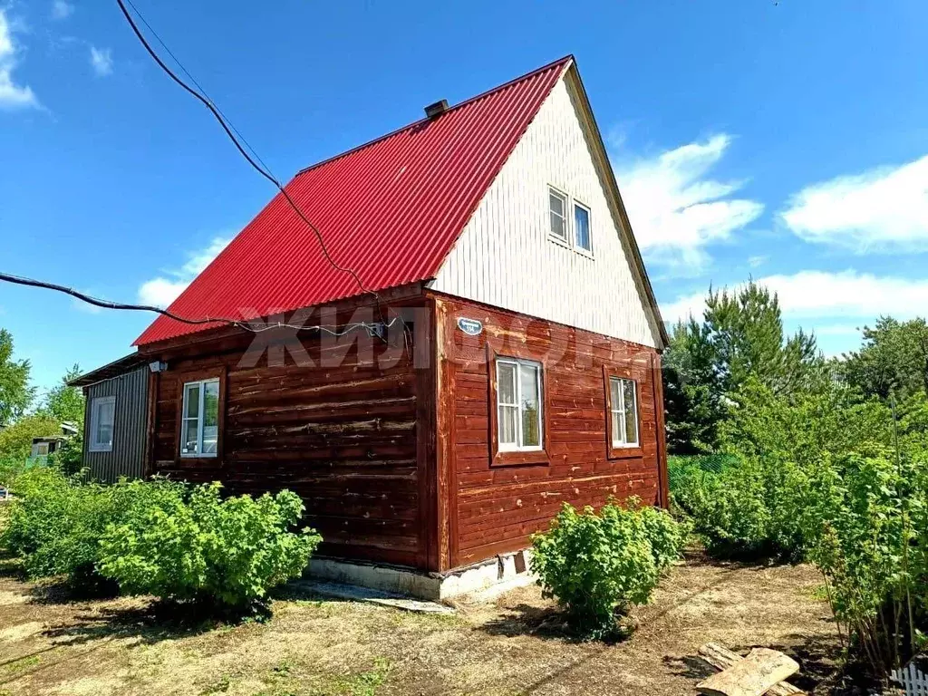 Дом в Новосибирская область, Коченевский район, Светлана ДНТ  (62 м) - Фото 0