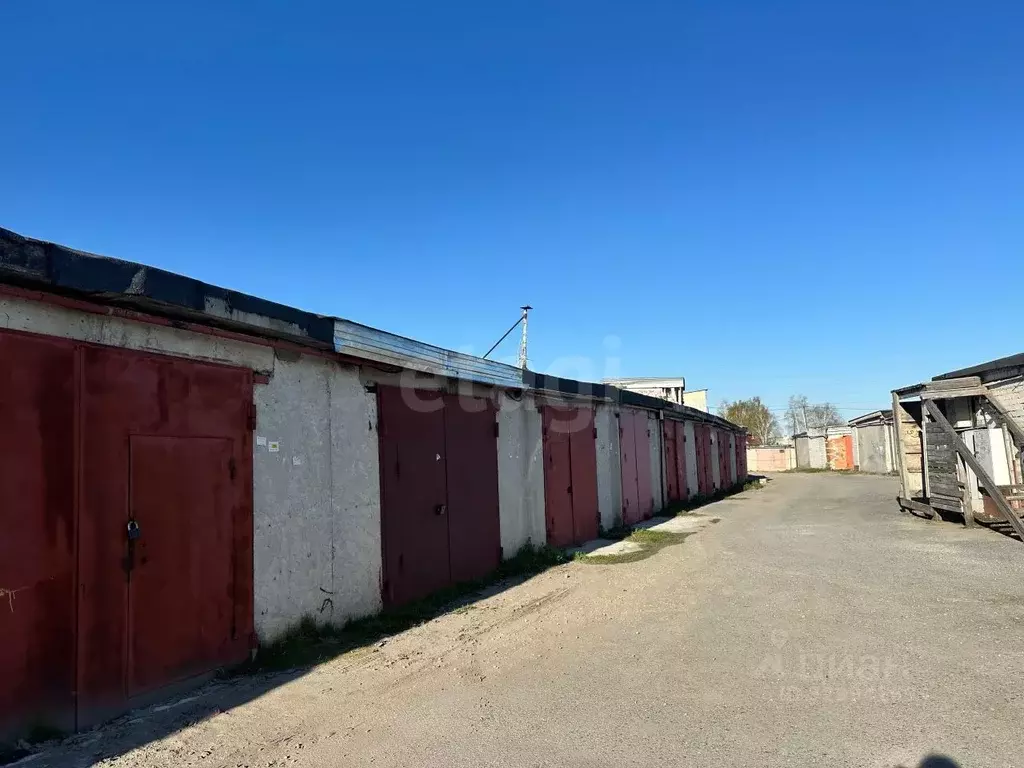 Гараж в Тюменская область, Тюмень Молодежная ул., 74А (21 м) - Фото 1