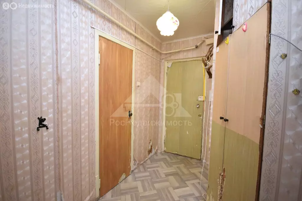 1-комнатная квартира: Кольчугино, Инициативная улица, 17 (32.7 м) - Фото 0