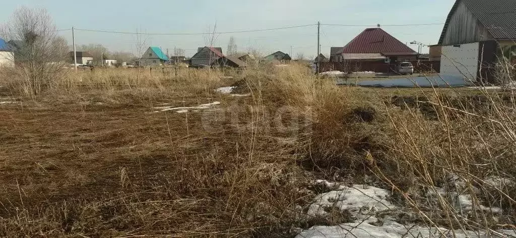 Участок в Алтайский край, Бийский район, с. Первомайское Буровая ул., ... - Фото 1
