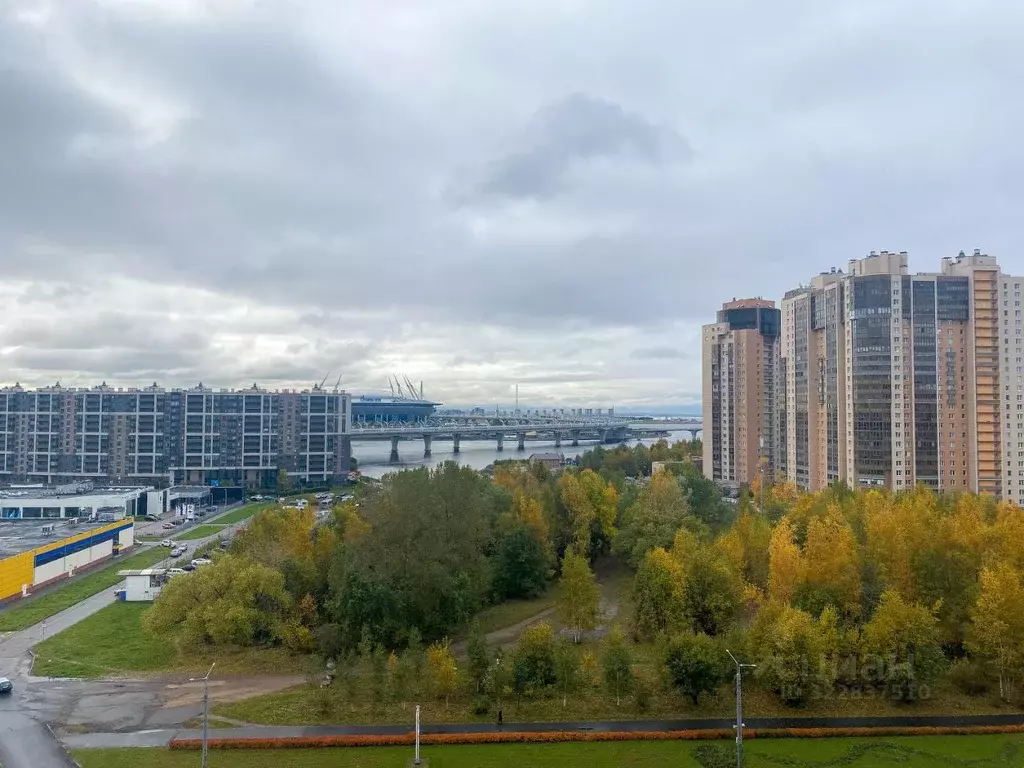 1-к кв. Санкт-Петербург ул. Савушкина, 121к1 (45.0 м) - Фото 2