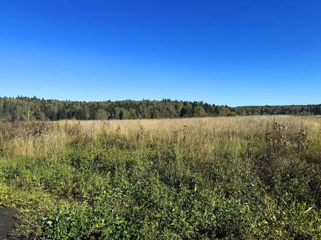 Участок в Московская область, Дмитровский муниципальный округ, ... - Фото 2