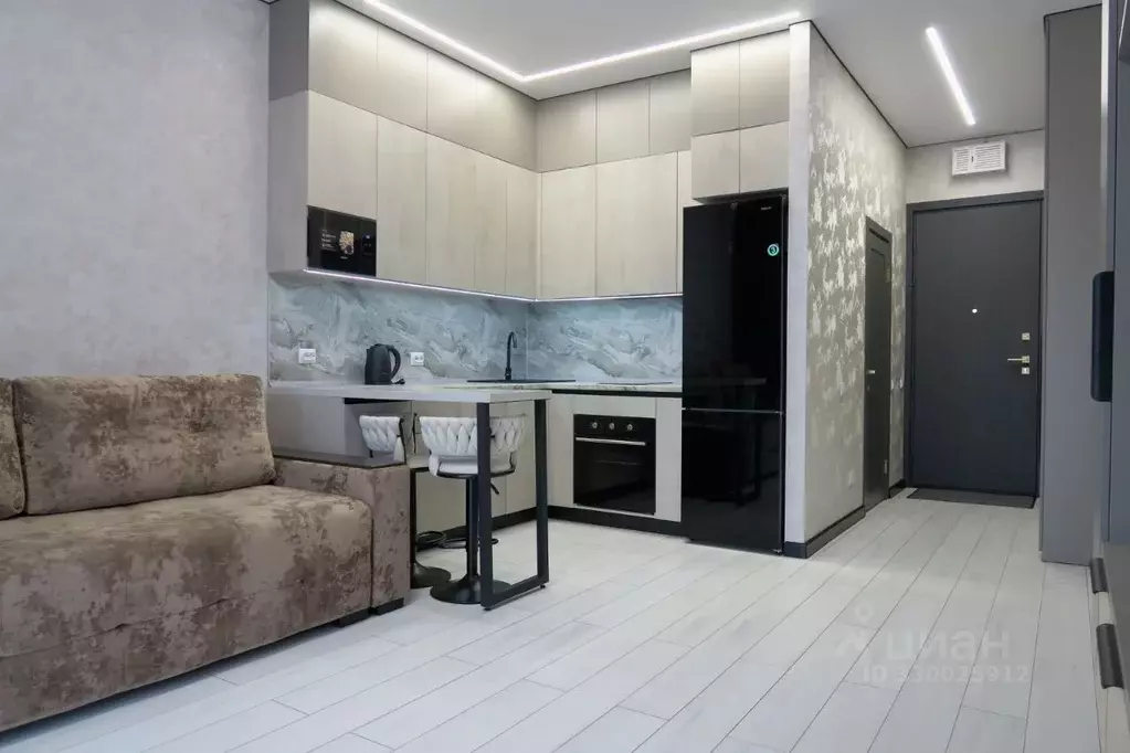 Студия Новосибирская область, Новосибирск Красный просп., 220 (29.0 м) - Фото 1