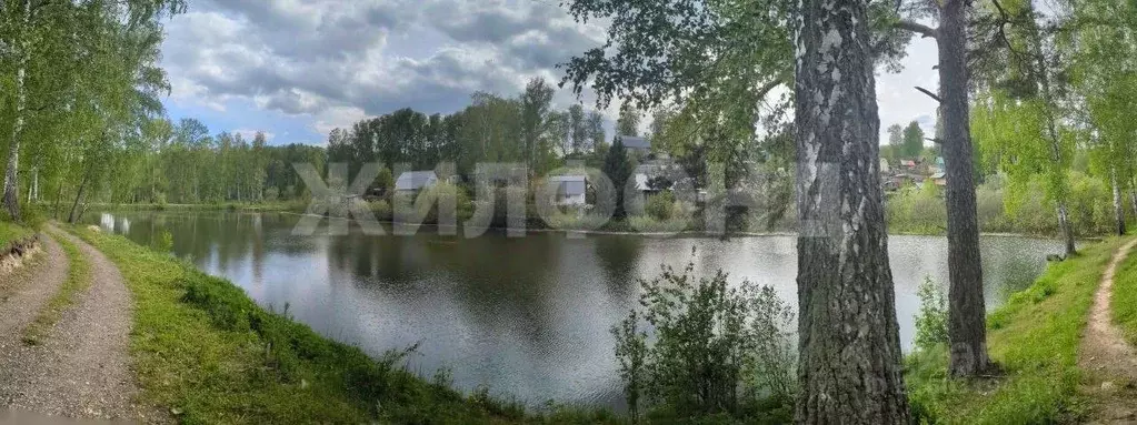 Участок в Новосибирская область, Новосибирский район, Раздольненский ... - Фото 1