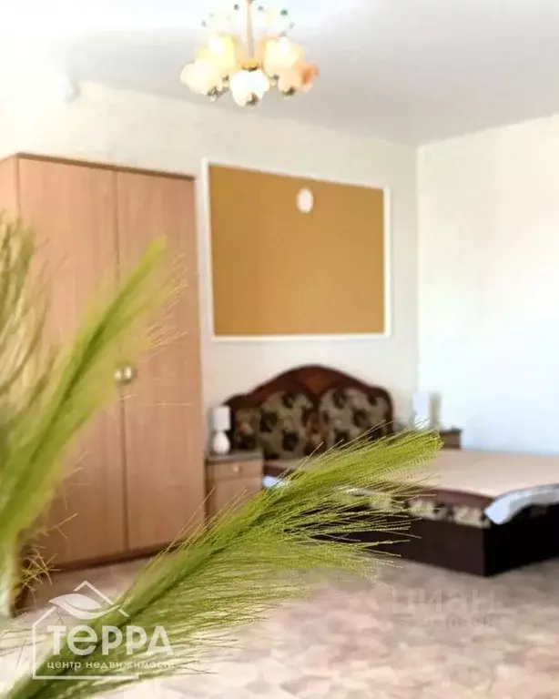 1-к кв. Крым, Евпатория городской округ, Заозерное пгт ул. Аллея ... - Фото 1