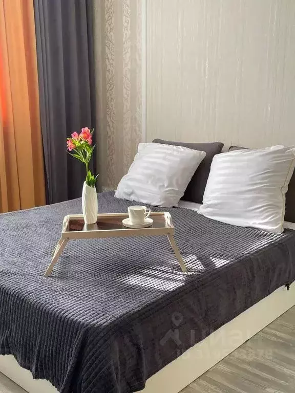 1-к кв. Пензенская область, Пензенский район, Засечный сельсовет, с. ... - Фото 2