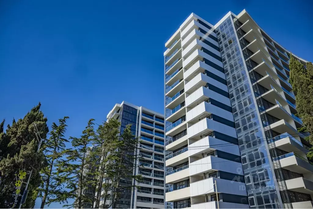 2-к кв. Краснодарский край, Сочи ул. Просвещения, 32 (42.0 м) - Фото 2