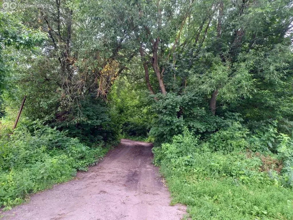Участок в Воронеж (6.48 м) - Фото 1