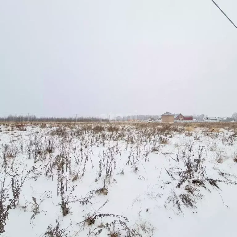 Участок в Ярославская область, Некрасовское рп  (85.1 сот.) - Фото 1