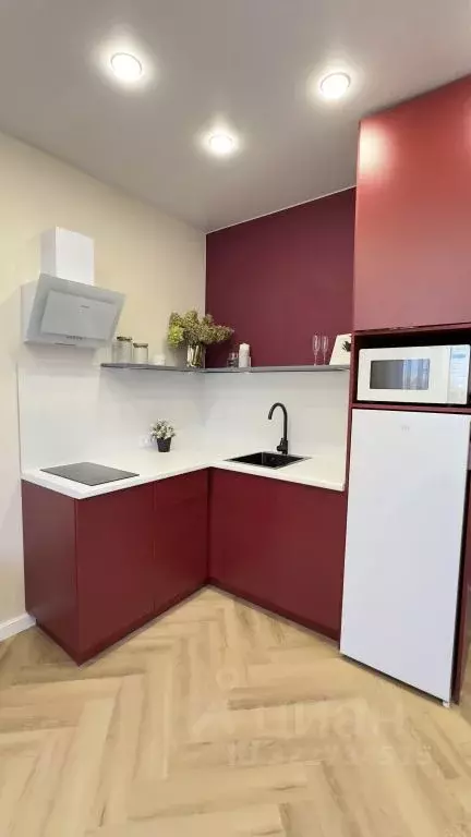 1-к кв. Новосибирская область, Новосибирск Красный просп., 167/3 (28.0 ... - Фото 1