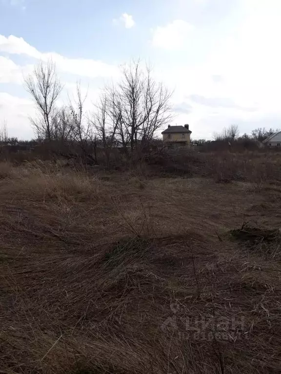 Участок в Воронежская область, с. Новая Усмань пл. Мира (15.0 сот.) - Фото 1