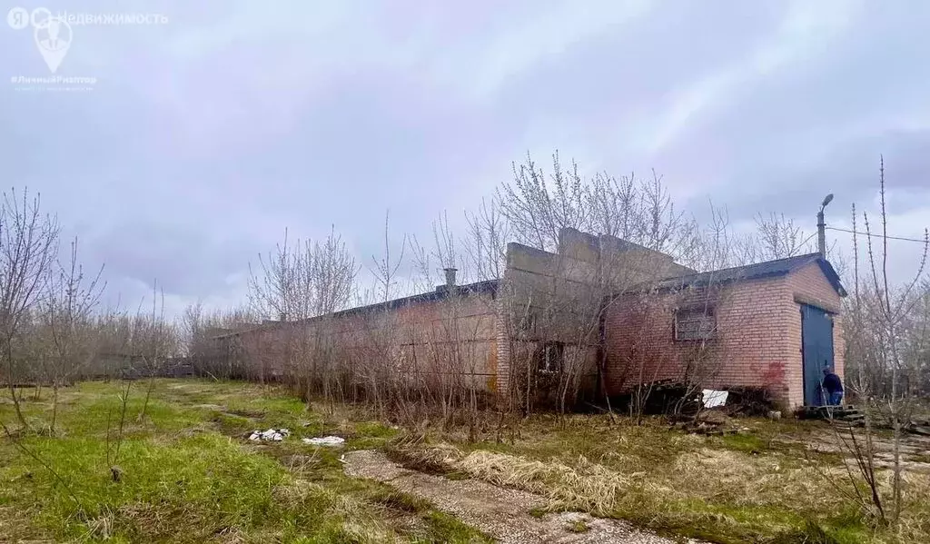 Помещение свободного назначения (600 м) - Фото 2