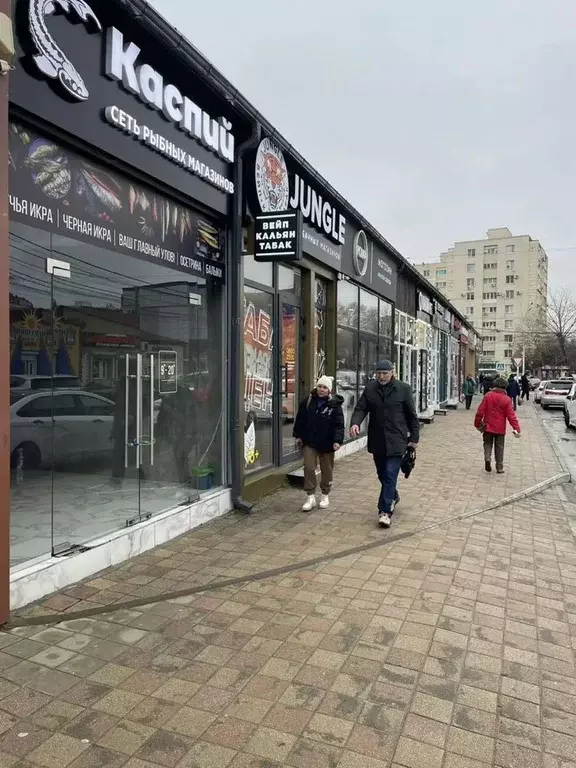 Помещение свободного назначения в Краснодарский край, Анапа ... - Фото 1