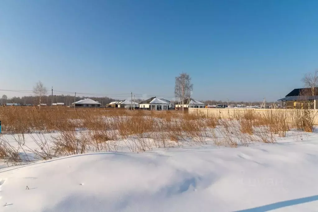 Участок в Тюменская область, Тюмень СОСН Березовое Озеро тер., ул. ... - Фото 1