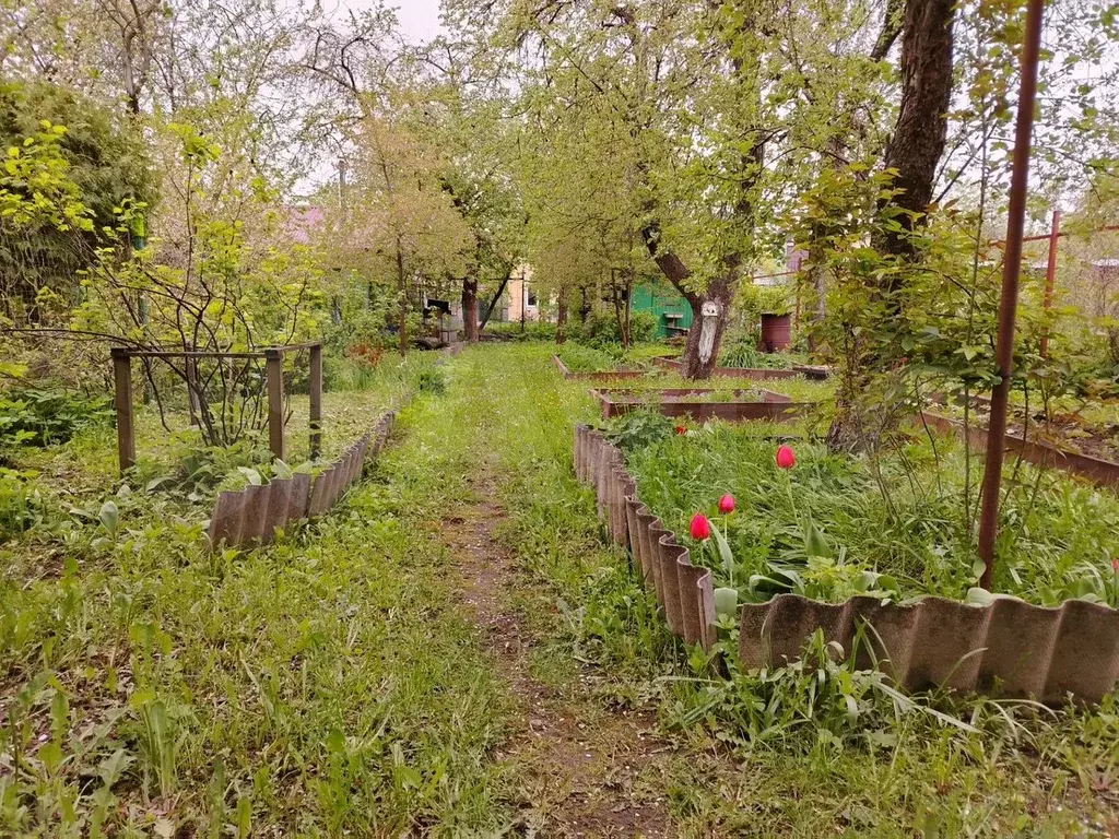 Участок 3 сот. (СНТ, ДНП) - Фото 1