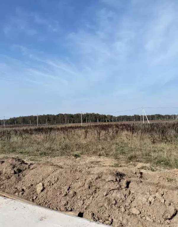 Участок в Калужская область, Боровский муниципальный округ, Совьяки ... - Фото 2