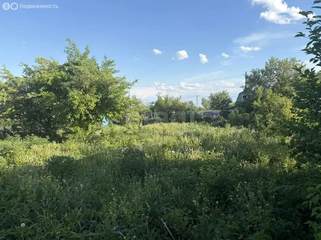 Участок в Отрадовский сельсовет, СНТ Машиностроитель-1 (4 м) - Фото 1