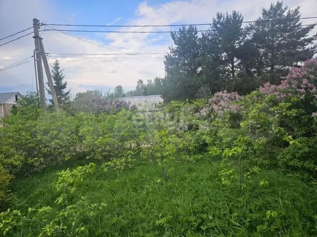 Участок 7,5 сот. (ИЖС) - Фото 1