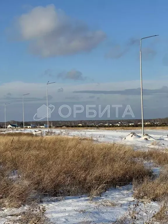 Участок в Тюменская область, Тюменский район, Новокаменский кп ул. ... - Фото 1