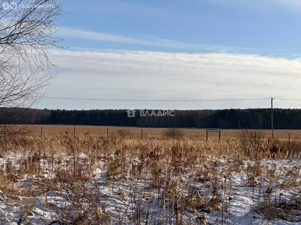 Участок в деревня Глиньково, Лесная улица (15 м) - Фото 0
