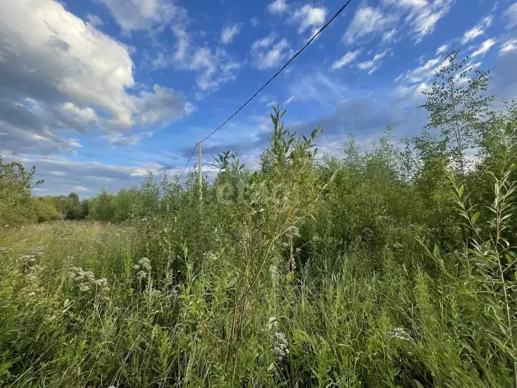 Участок в Кировская область, Киров городской округ, д. Эсауловы  (11.0 ... - Фото 1