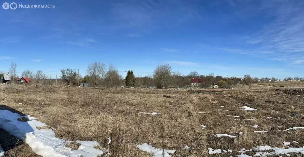 Участок в Лопухинское сельское поселение, деревня Воронино (14 м) - Фото 2